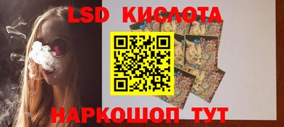 СК Владимир