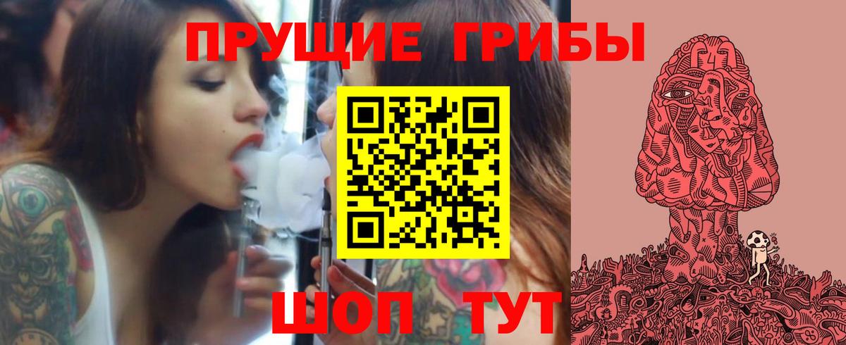 Галлюциногенные грибы Psilocybe Белорецк