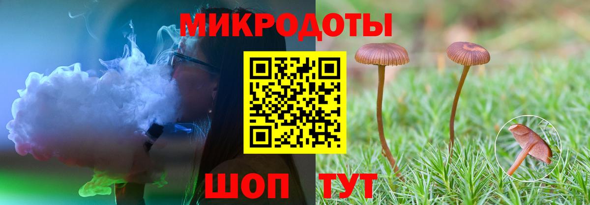 Псилоцибиновые грибы Cubensis  Вход с VPN  Белорецк 